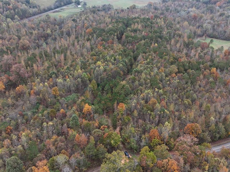 Jamestown Tract 6 : Gaylesville : Cherokee County : Alabama