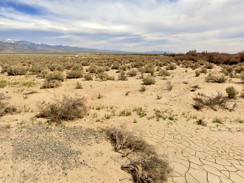 Claim Your Dream for $256.37 Down : Pahrump : Nye County : Nevada