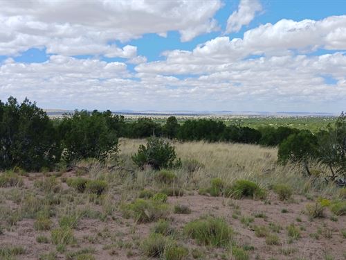 Invest in AZ Raw Land Today : Chambers : Apache County : Arizona