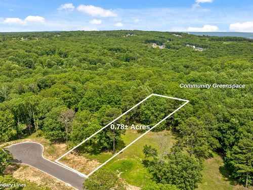 Signal Mountain's Newest Community : Signal Mountain : Hamilton County : Tennessee