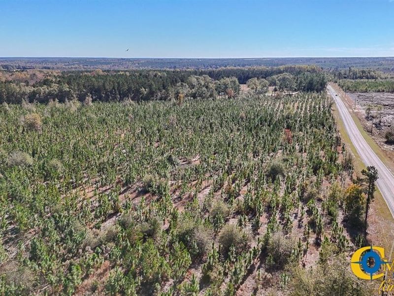 Mt. Pisgah Tract : Jefferson : Kershaw County : South Carolina