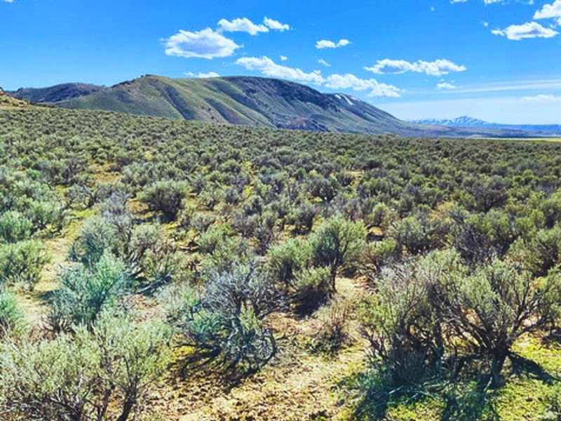 1.1 Acres to Chill in Elko County : Carlin : Elko County : Nevada