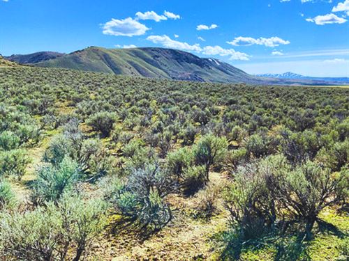 1.1 Acres to Chill in Elko County : Carlin : Elko County : Nevada