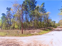 Near Caddo Lake, Last Lot .22 Acres : Jefferson : Marion County : Texas