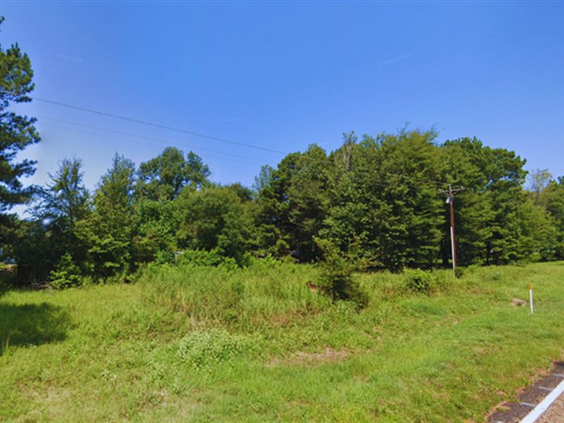This Lot is Your Next Big Break : Avinger : Marion County : Texas