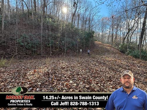14.25 Acres With Home Site in Sw : Bryson City : Swain County : North Carolina