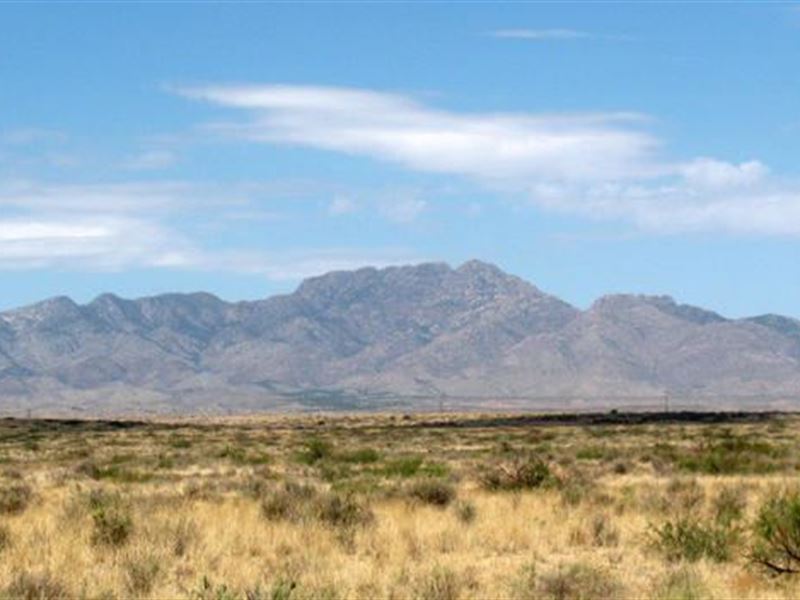 Must Sell Asap, No Zoning : Deming : Luna County : New Mexico