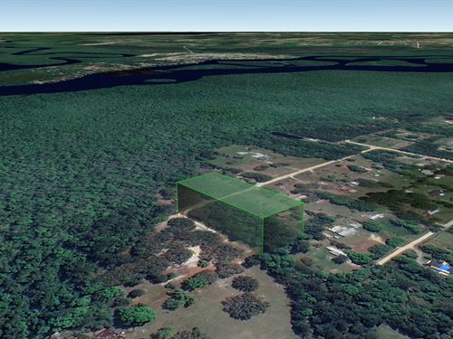 Mobile / Tiny Home Okay, Near River : Palatka : Putnam County : Florida