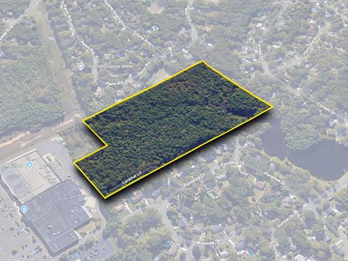 Secret Haven Near Conveniences : Voorhees : Camden County : New Jersey