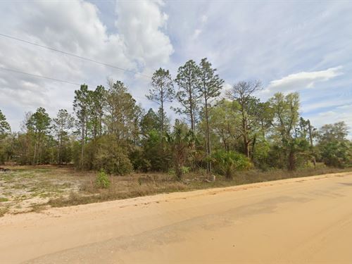 Own FL Land for Less Than $200/Mo : Interlachen : Putnam County : Florida