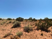 Get 2 Acres in Apache County, AZ : Saint Johns : Apache County : Arizona