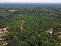 Attala County's Hidden Gem : Kosciusko : Attala County : Mississippi