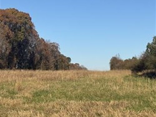 Quiet Oaks Lot 5 : Statham : Oconee County : Georgia