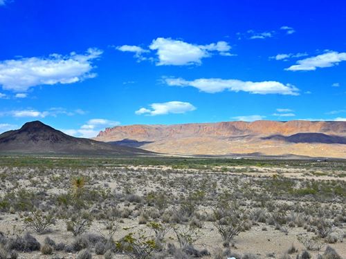 Escape The City to Starry Nights : Terlingua : Brewster County : Texas