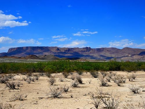 Camp Under The Stars Near Big Bend : Terlingua : Brewster County : Texas