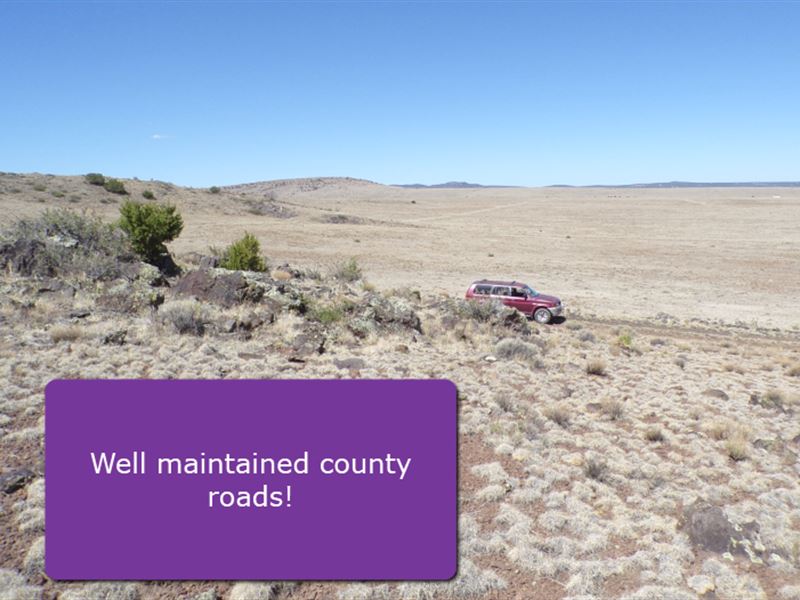 Concho Lake RV Basecamp : Concho : Apache County : Arizona