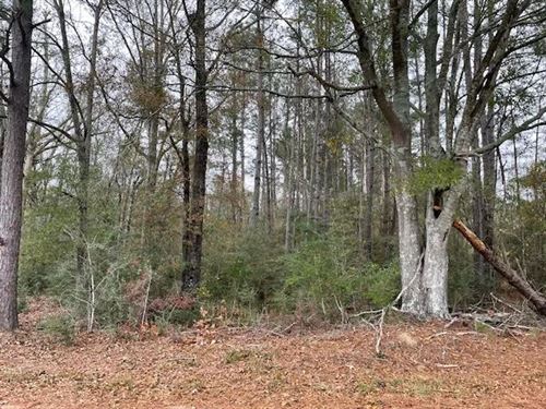 20 Acres On Campbell Rd, Jayess : Jayess : Walthall County : Mississippi