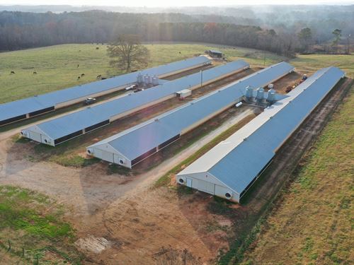 Double R Broiler Farm : Ranburne : Cleburne County : Alabama