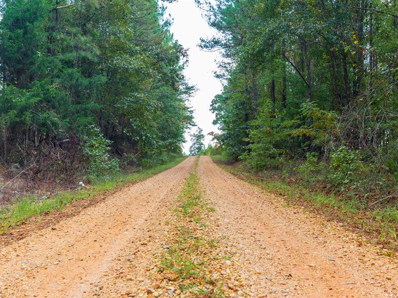 No Credit Check Land with Power : Sullige : Lamar County : Alabama