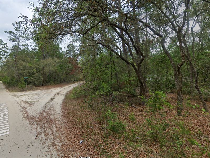 Mobile Homes Welcome : Satsuma : Putnam County : Florida