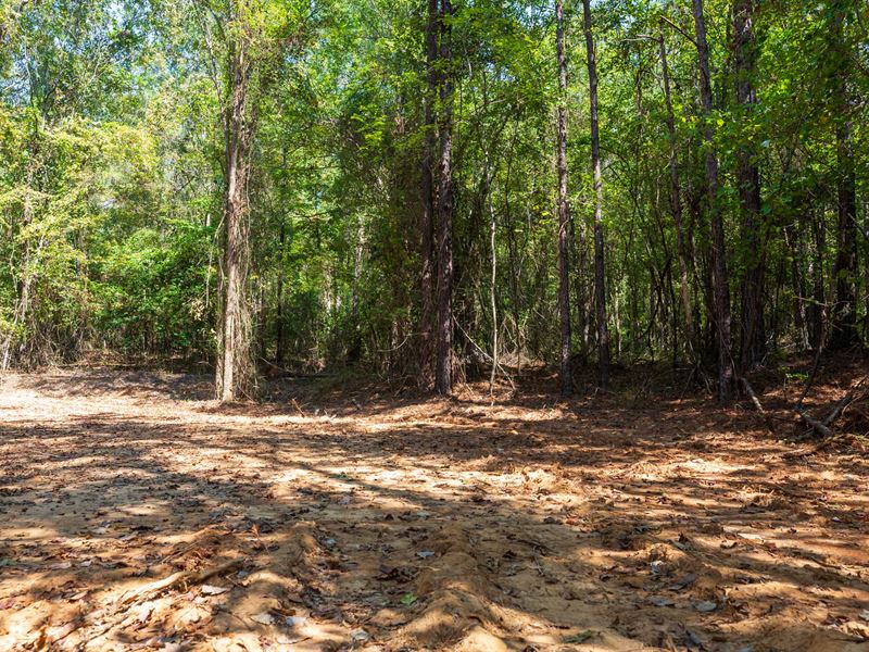 No Credit Check Property : Sulligent : Lamar County : Alabama
