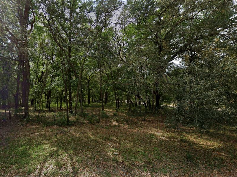 .24 Acre, All You Need : Interlachen : Putnam County : Florida