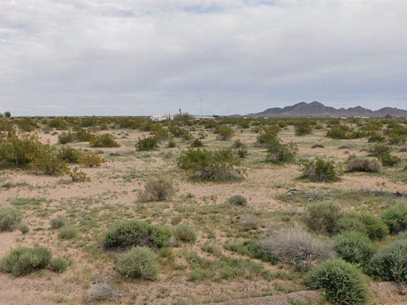 Ditch The HOA, Own Your Oasis : Dateland : Yuma County : Arizona