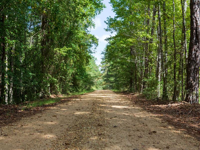 With Small Pond, No Credit Check : Sulligent : Lamar County : Alabama
