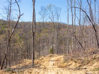 $999 Down, No Credit Check Land : Mt Vernon : Rockcastle County : Kentucky