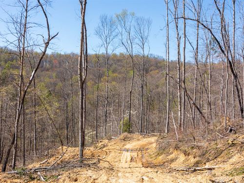 $999 Down, No Credit Check Land : Mt Vernon : Rockcastle County : Kentucky