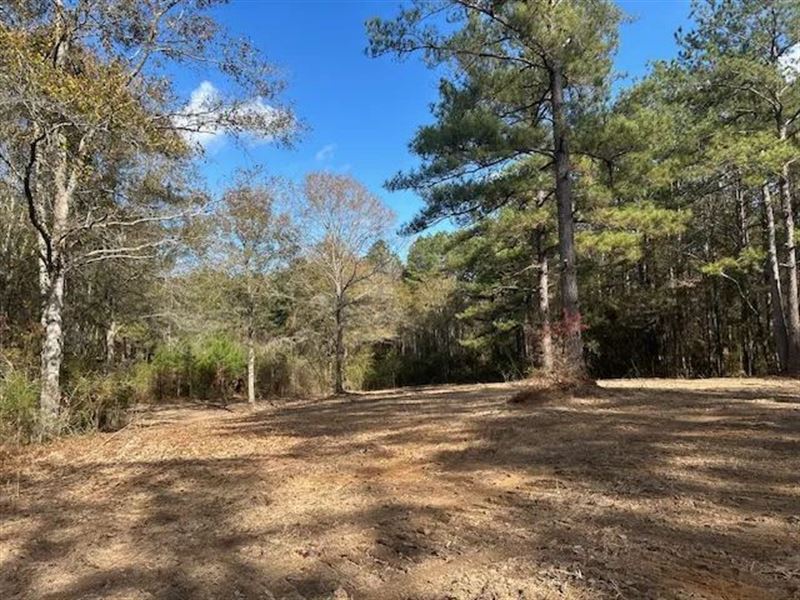 3.62 Acres in Summit MS : Summit : Pike County : Mississippi