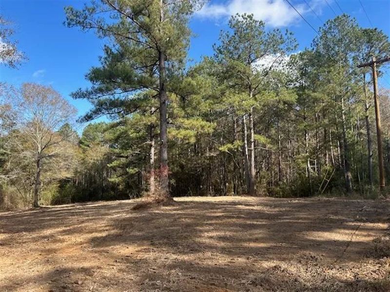 5.12 Acres in Pike County Mississip : Summit : Pike County : Mississippi