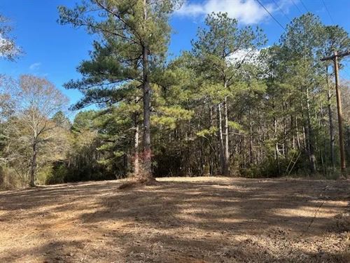 5.12 Acres In Pike County Mississip : Summit : Pike County : Mississippi