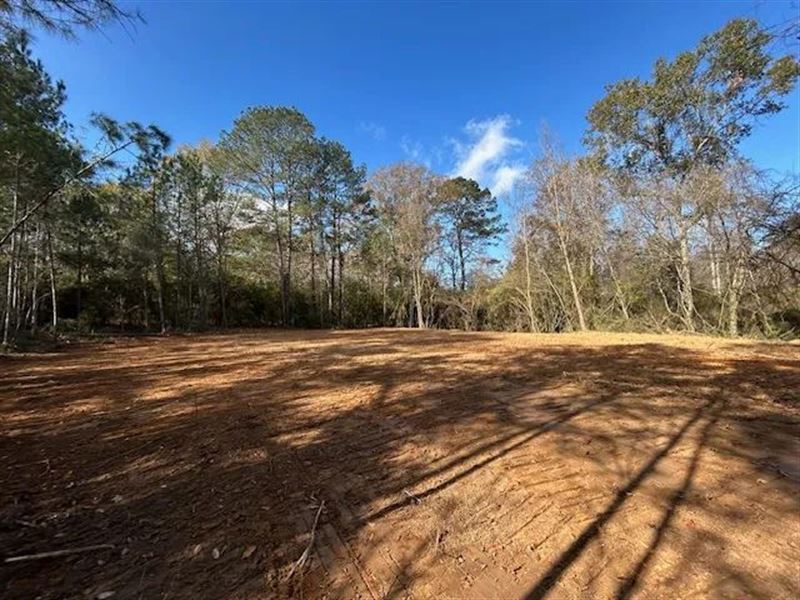 1 Acre in Pike County Mississippi : Summit : Pike County : Mississippi