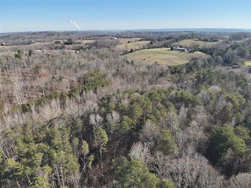 16.82 Acres In Rhea County, TN : Dayton : Rhea County : Tennessee