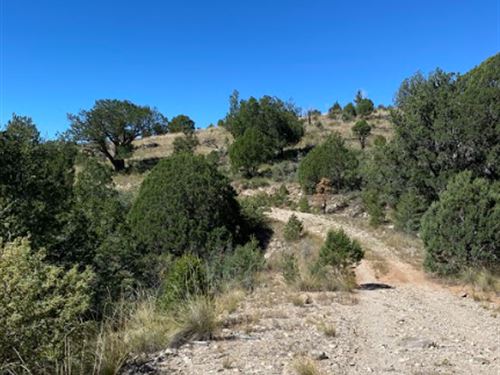 Build Your Home Near The Woodlands : Timberon : Otero County : New Mexico