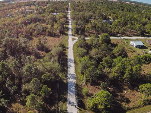 Wooded Lot with Power : Punta Gorda : Charlotte County : Florida