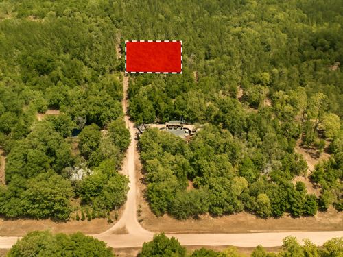 Lake Days & Starry Nights Await : Hawthrone : Putnam County : Florida