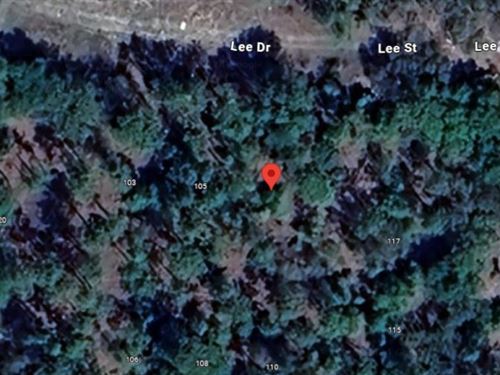 Vacant Lot At Madison Avenue : Hawthorne : Putnam County : Florida