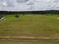 Land For Sale in Headland AL 5 ac : Headland : Henry County : Alabama