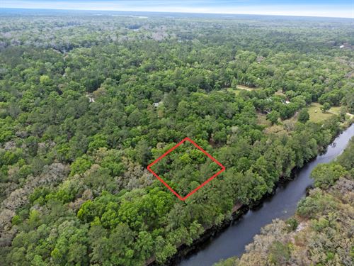 Golden Spot for Your New Hideout : Bell : Gilchrist County : Florida