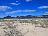 Mini Ranch Near Big Bend NP : Terlingua : Brewster County : Texas