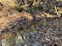 2.55 Acres on Mountain Mint Way : Salem : Oconee County : South Carolina