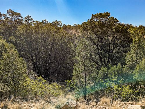 Ready to Claim Your Outdoor Kingdom : Timberon : Otero County : New Mexico