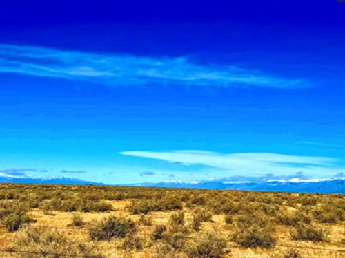 5 Acres with Endless Potential : Alamosa : Colorado