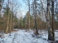 Nearly 4 Acres, Walk to The Lake : Phillips : Price County : Wisconsin