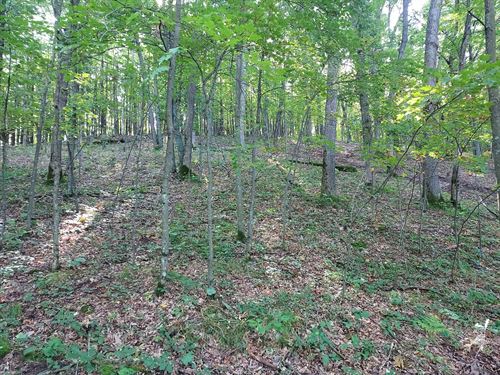Nearly 4 Acres Adjacent State Land : Sand Creek : Dunn County : Wisconsin