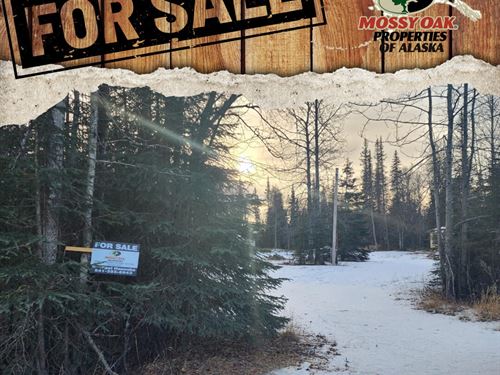 2.02 Acres With Pad, Foundation : Kenai : Kenai Peninsula Borough : Alaska