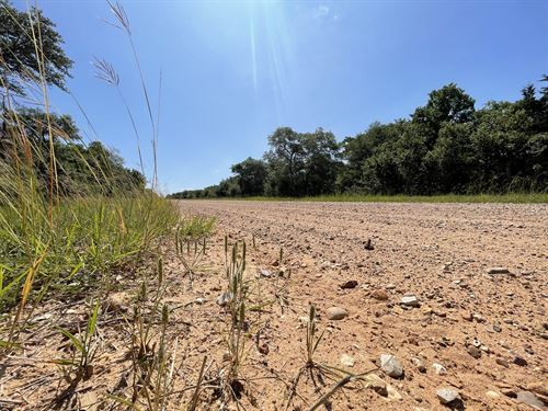 2.17 Acre Corner Lot Near Katy TX : Hallettsville : Lavaca County : Texas