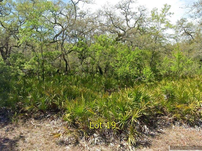 Residential Recreational : Live Oak : Suwannee County : Florida